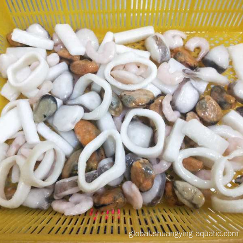 1 Kg Bagged Seafood Mix High Quality Exotic Seafood Frozen Mixed Seafood With Good Price Supplier